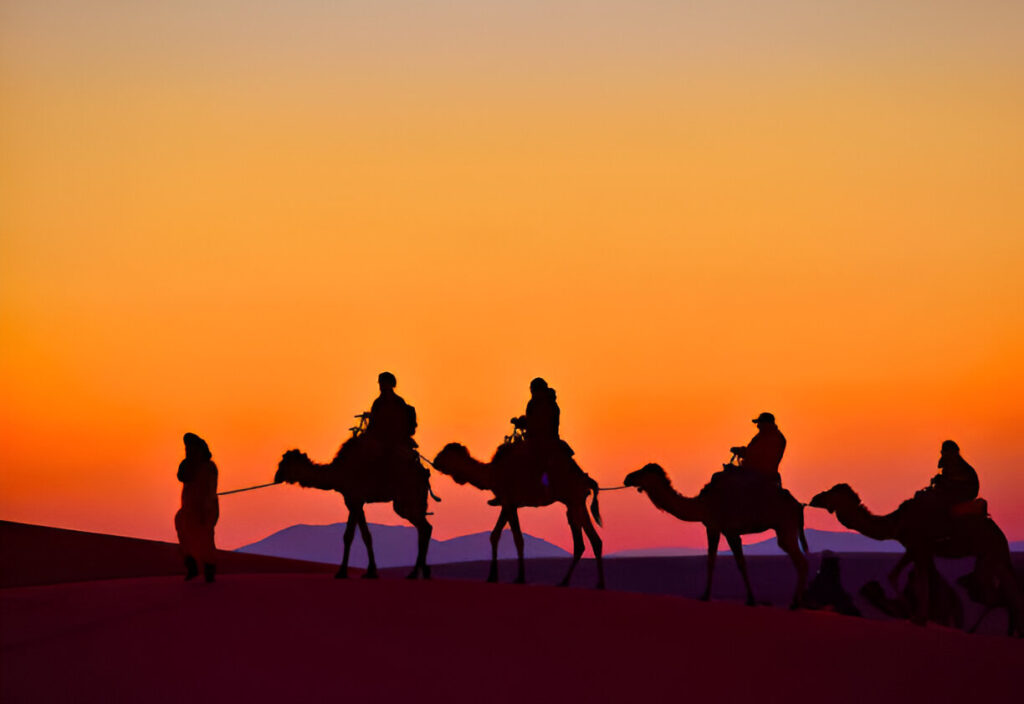 Las mejores excursiones, tours y actividades en Marrakech