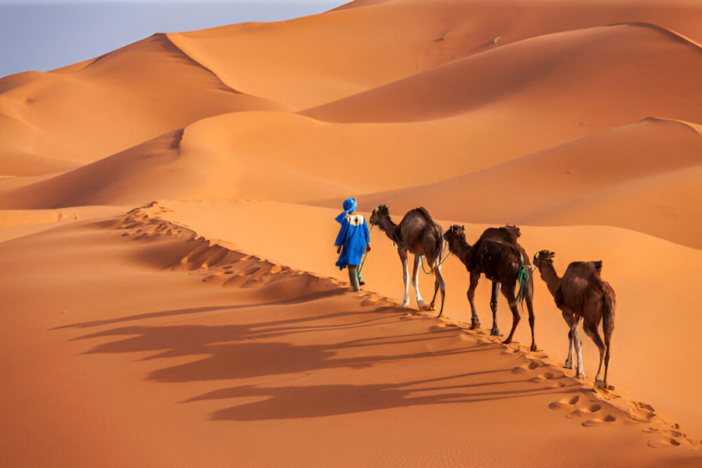 tour de 8 días de Casablanca a Marrakech,