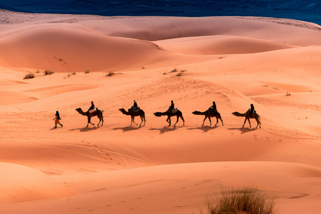 MARRAKECH A FEZ
