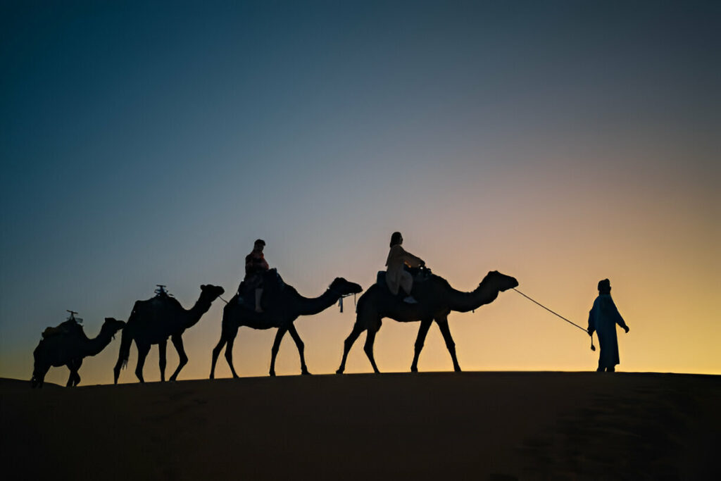 tours da marrakech a desierto